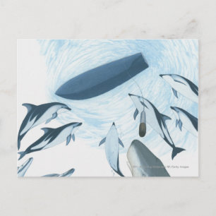 Illustration von Delphinen, die auf ein Boot schau Postkarte