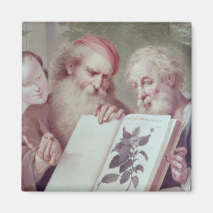 Illustration von Hortus Cliffortianus Magnet