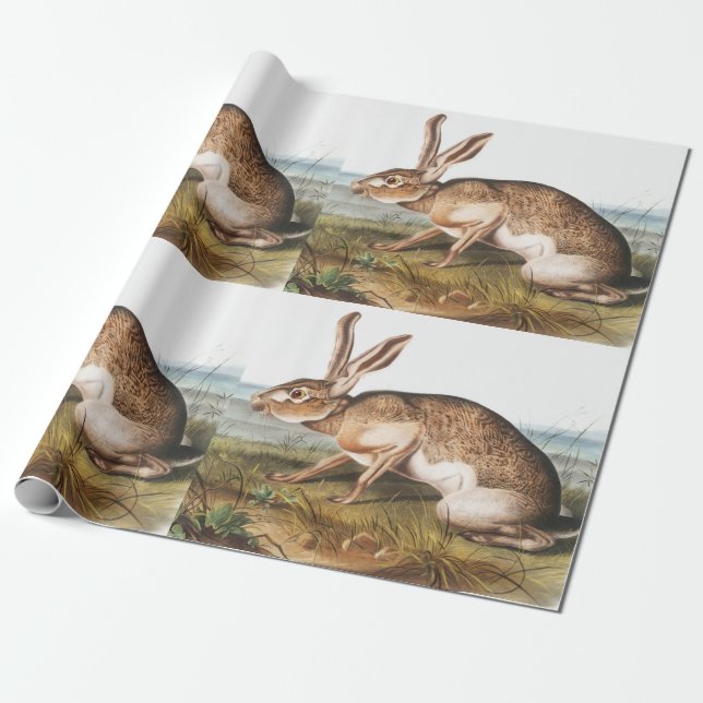Illustration von Kaninchen (Lepus Texianus) Geschenkpapier (Ungerollt)
