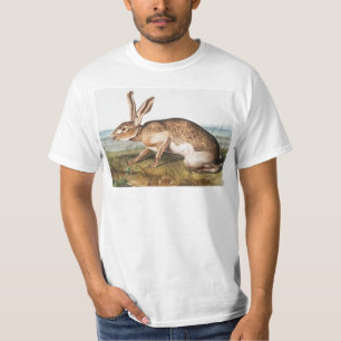 Illustration von Kaninchen (Lepus Texianus) T-Shirt