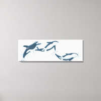 Illustration von Killerwalen (Orcinus orca)