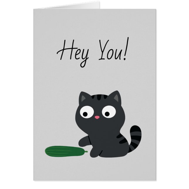 Illustration von Kitty und Cucumber (Vorne)