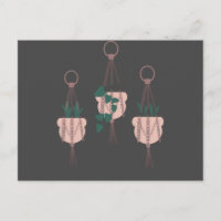 Illustration von Macrame Pflanze Hanger Planter Po