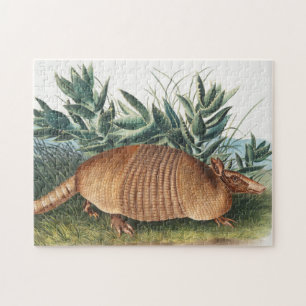 Illustration von neunbanded Armadillo (Dasypus Peb Puzzle