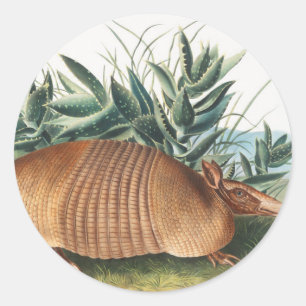 Illustration von neunbanded Armadillo (Dasypus Peb Runder Aufkleber