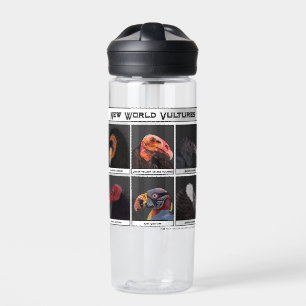 Illustration von Neuweltgeiern Trinkflasche