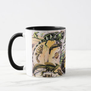 Illustration von Reptilien im Vintage-Stil von Ado Tasse