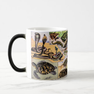 Illustration von Reptilien im Vintage-Stil von Ado Verwandlungstasse