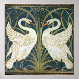 Illustration von Swan und Rush und Iris Wallpaper Poster