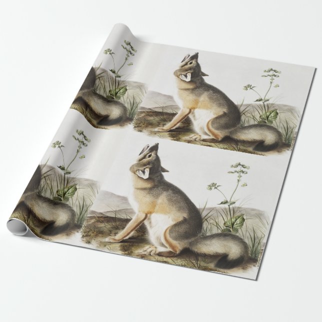 Illustration von Swift Fox (Vulpes velox) Geschenkpapier (Ungerollt)