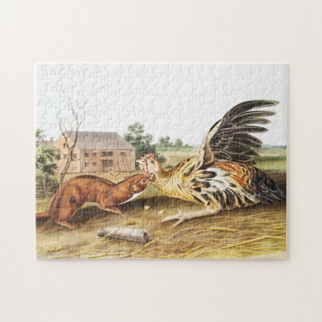 Illustration von Tawny Weasel (Putorius fuscus) Puzzle (Horizontal)