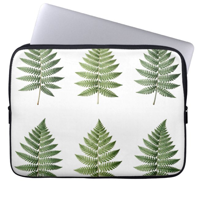 Illustration von Vintage-Botanik-Farnblättern Laptopschutzhülle (Vorderseite)