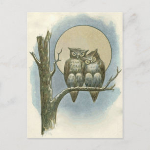 Illustration von Vintage-Eulen Postkarte