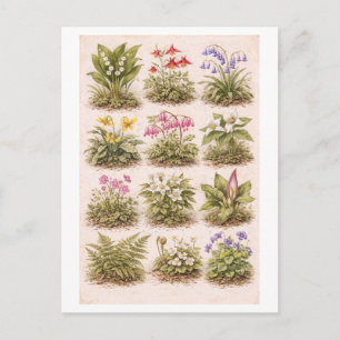 Illustration von Wildblumen im Vintage-Stil Postkarte