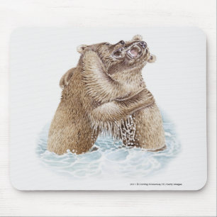 Illustration von zwei Braunbären, die im Wasser Mousepad