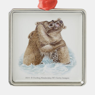 Illustration von zwei Braunbären, die im Wasser Silbernes Ornament
