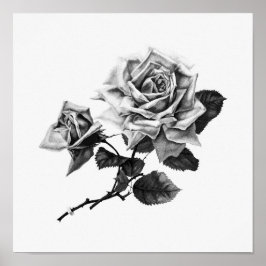 Illustration zur Vintagen Rose Poster