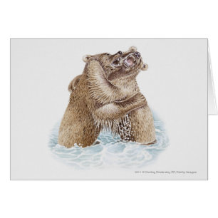 Illustration zweier im Wasser kämpfender Braunbäre
