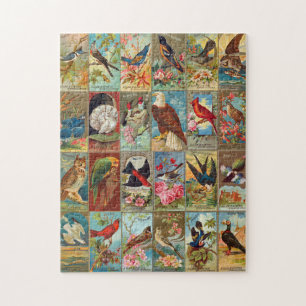 Illustrationen amerikanischer Vögel aus dem 19. Ja Puzzle