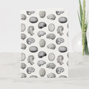 Illustrationen der Gehirn Anatomie Biologie Karte