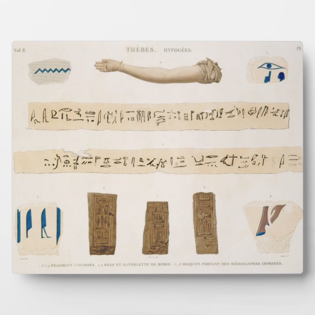 Illustrationen der Hieroglyphik und des Arms einer Fotoplatte (Vorderseite)