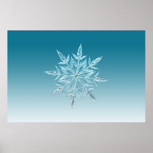 Illustrationen Schneeflocken Eiskristall Wintersch Poster