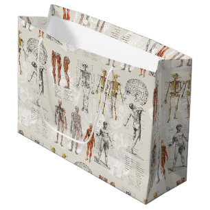 Illustrationen zur Vintagen Anatomie Große Geschenktüte