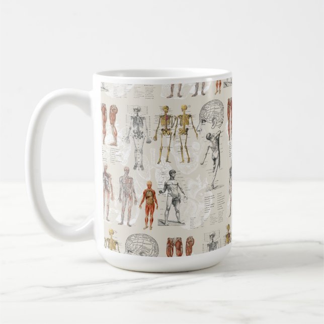 Illustrationen zur Vintagen Anatomie Kaffeetasse (Links)