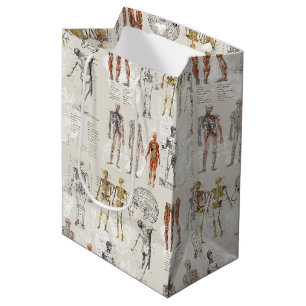 Illustrationen zur Vintagen Anatomie Mittlere Geschenktüte