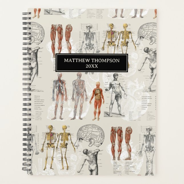 Illustrationen zur Vintagen Anatomie Planer (Vorderseite)