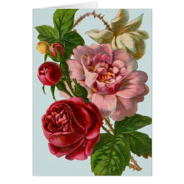 Illustrationskarte für Viktorianische Rose (Vorne)