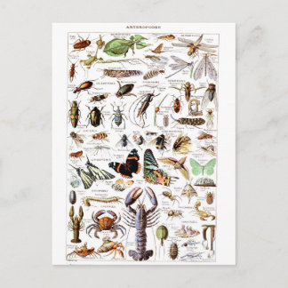 Illustrationswörterbuch Postkarte