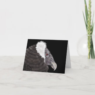 Illustriert Andean Condor Dankeskarte