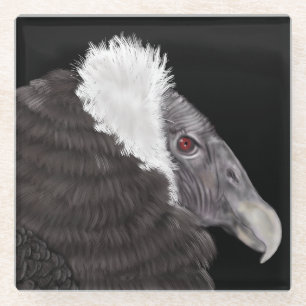 Illustriert Andean Condor Glasuntersetzer