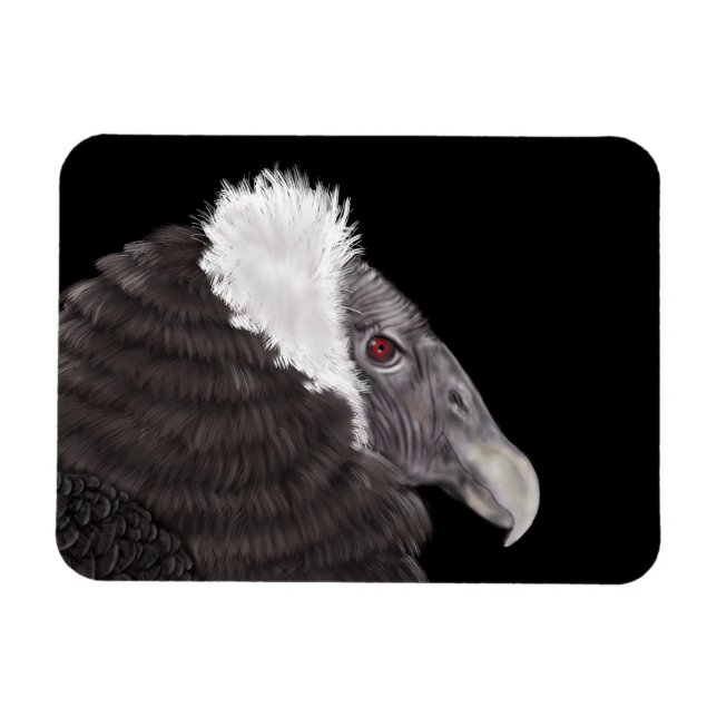 Illustriert Andean Condor Magnet (Horizontal)