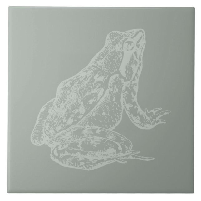 Illustriert Frog CUSTOM FARBEITER Kunst Fliese (Vorderseite)