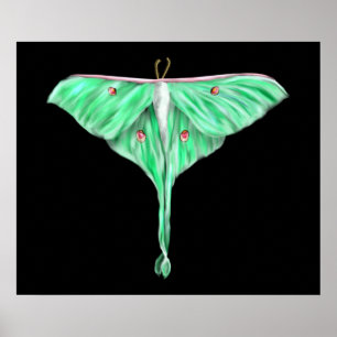 Illustriert Green Lunar Moth Poster