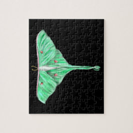 Illustriert Green Lunar Moth Puzzle