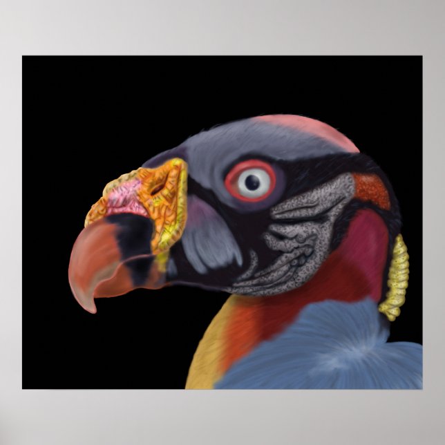 Illustriert King Vulture Poster (Vorne)