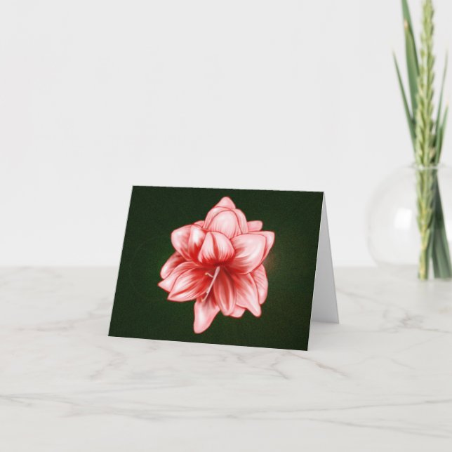 Illustriert-rosa-weiße Amaryllis (Vorderseite)
