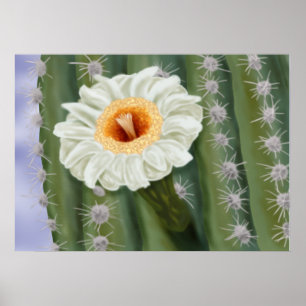 Illustriert Saguaro Cactus White Blume Poster