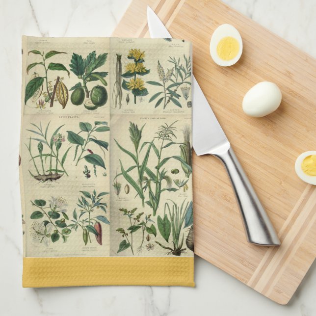 Illustrierte Flora Geschirrtuch (Viertel Falte)