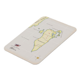 Illustrierte Karte Irlands Magnet