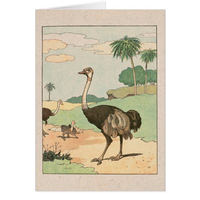 Illustrierte Notizkarte Ostrich Storykook (Vorne)