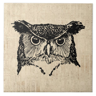 Illustrierte Owl Art Fliese