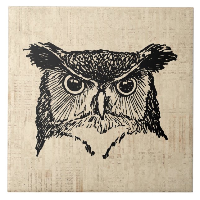 Illustrierte Owl Art Fliese (Vorderseite)