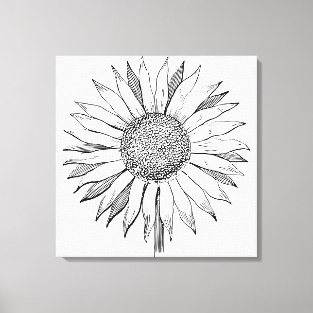 Illustrierte Sonnenblume Leinwanddruck (Vorderseite)