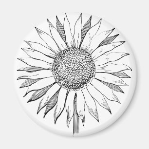 Illustrierte Sonnenblume Magnet
