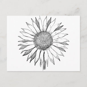 Illustrierte Sonnenblume Postkarte