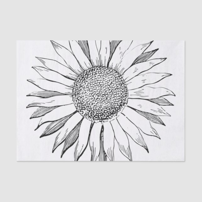 Illustrierte Sonnenblume Seidenpapier (Vorderseite)